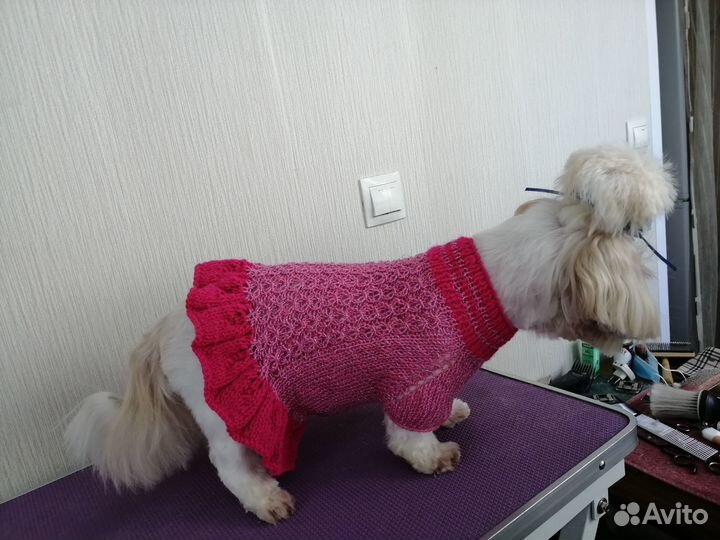 Вязанная одежда для собак