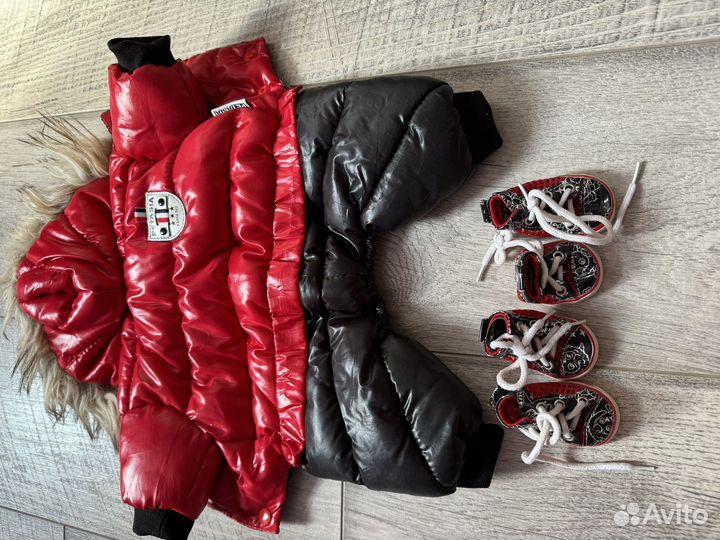 Одежда для собак мелких пород