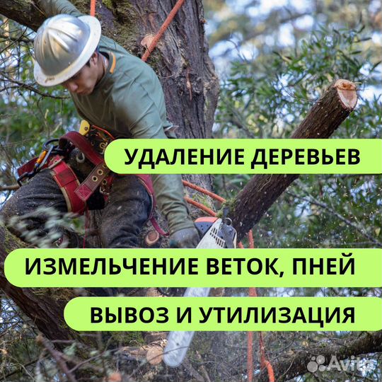 Вырубка деревьев Расчистка участков Дробление пней