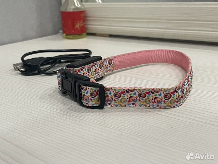 Ошейник светящийся