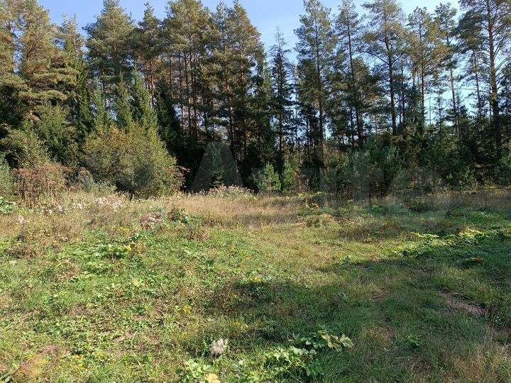 Участок 17,7 сот. (ИЖС)