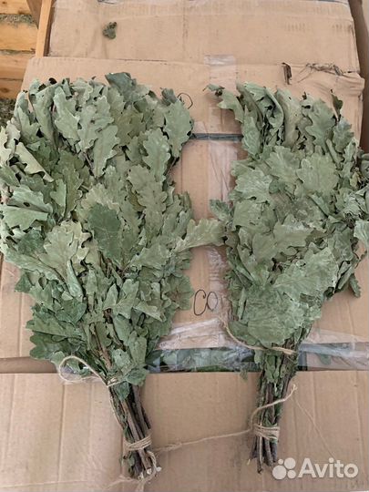 Дубовые веники для бани