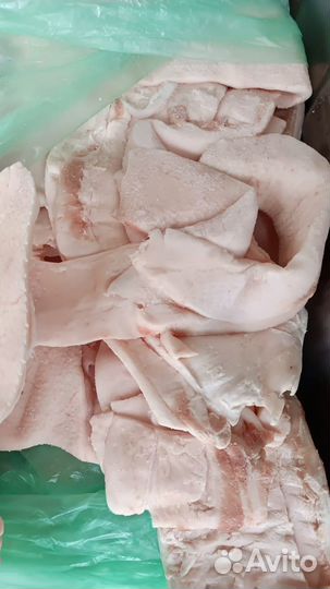 Шпик боковой свиной