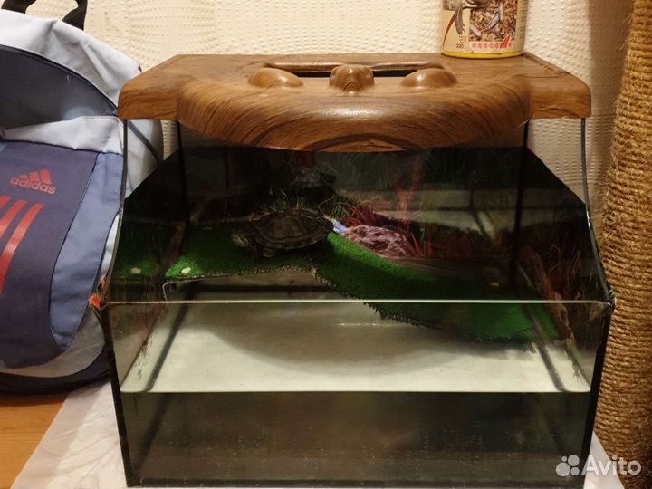 Аквариум