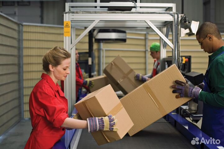 Упаковщики Солнечногорск, Вахта 15/30/4086