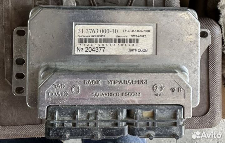 Мозги эбу на газель