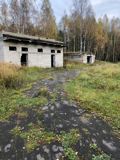 Участок 38 сот. (СНТ, ДНП)