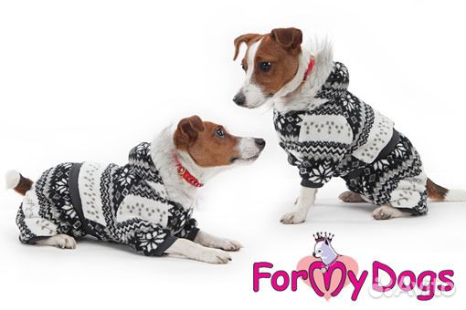 Одежда и обувь для Вашего питомца