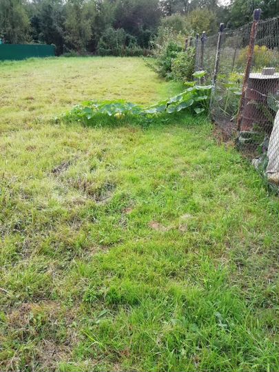 Участок 10 сот. (СНТ, ДНП)