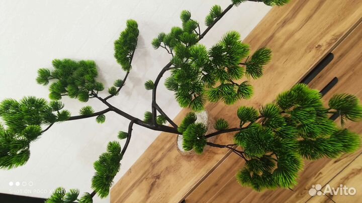 Искусственные деревья туи и бонсай