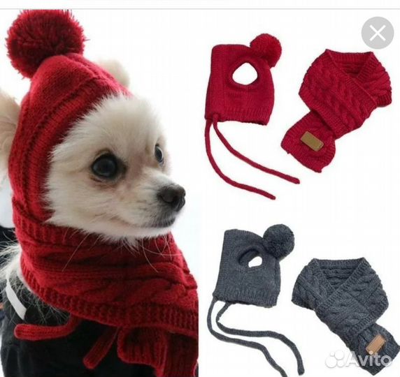 Одежда для собак