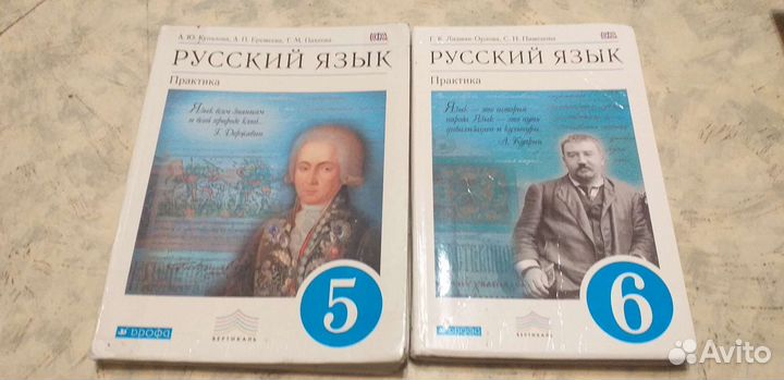 Литература. 9 класс.Коровина. Меркин. бу