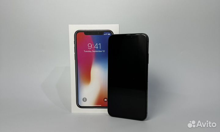 iPhone X, 256 ГБ