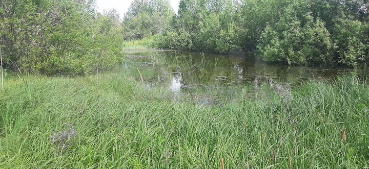 Участок 18,8 сот. (ИЖС)