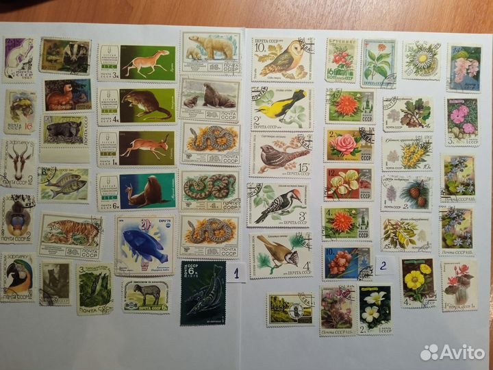 Почтовые марки