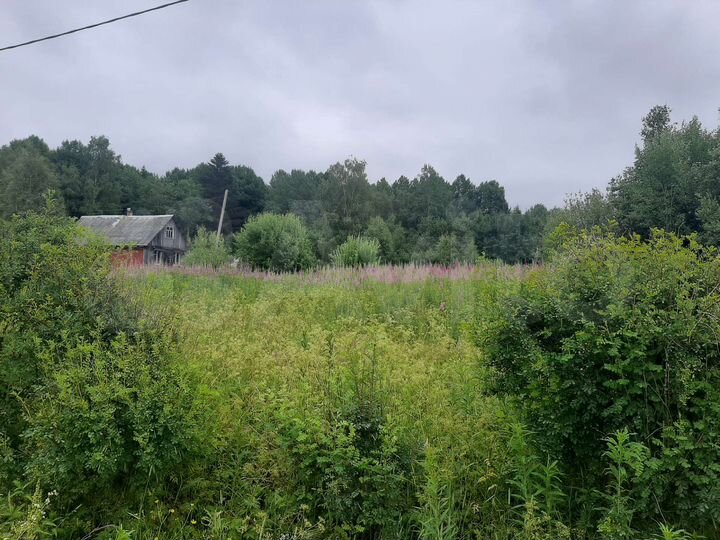 Участок 17,17 га (ИЖС)