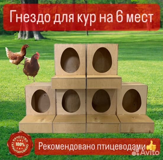 Гнездо для кур на 6 мест