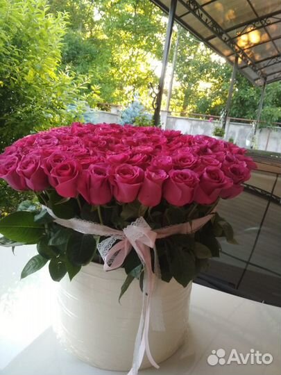 Роза Эквадор оптом