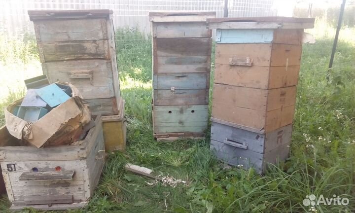 Ульи для пчел