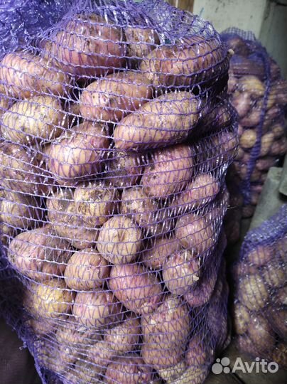 Картофель деревенский