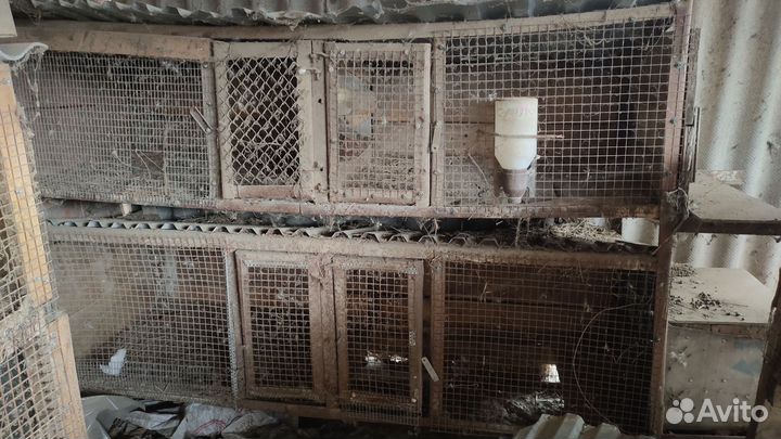 Клетки для кроликов