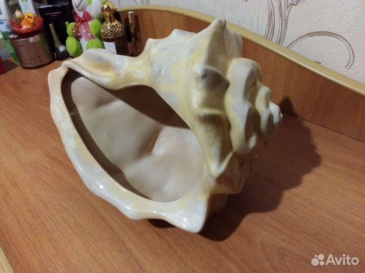 Ракушка сувенир