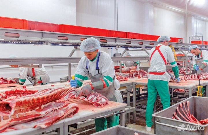 Грузчики на мясокомбинат (вахта)