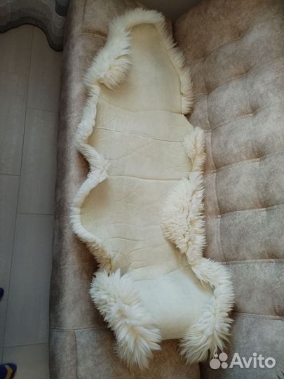 Шкура овцы