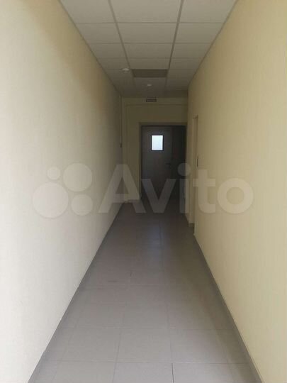 2-к. квартира, 81,3 м², 5/12 эт.