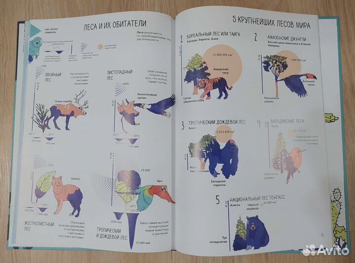 Детские книги энциклопедии