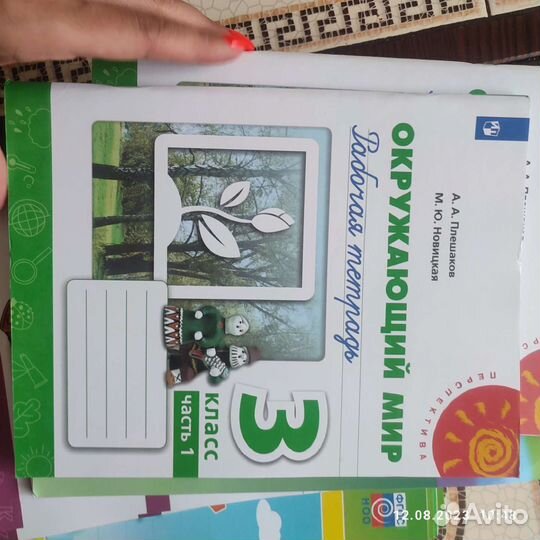 Рабочая тетрадь окружающий мир плешаков 3 класс