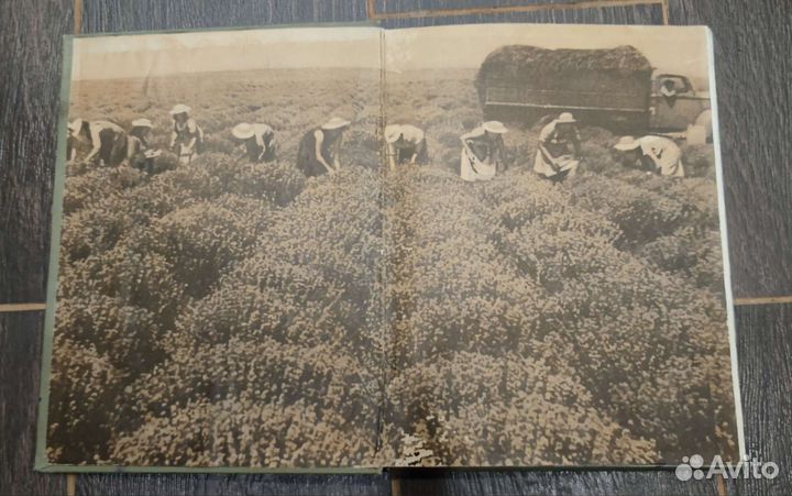 Каталог туалетного мыла и парфюмерно-косметически