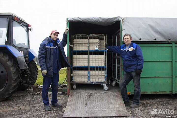 Тракторист