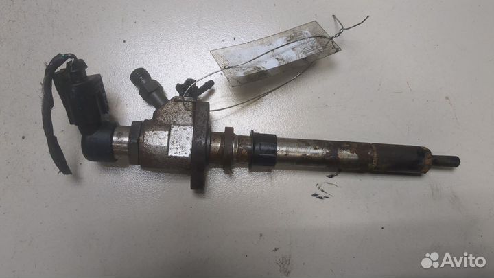 Форсунка топливная Ford Kuga, 2009