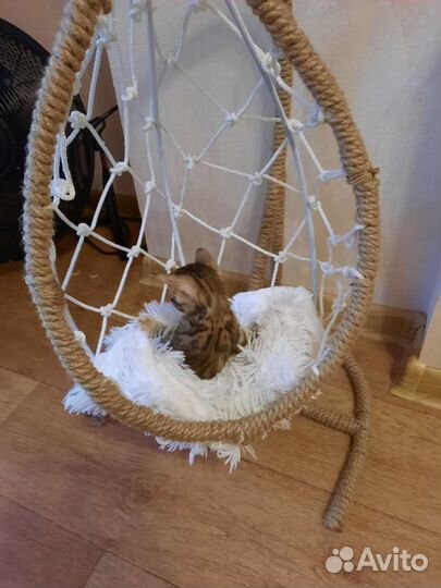 Домик-кокон для наших любимцев