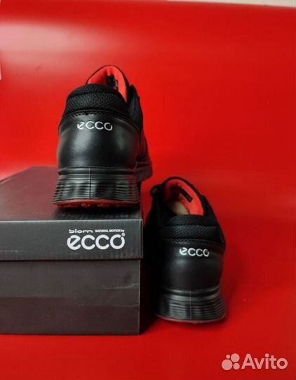 Кроссовки Ecco Biom