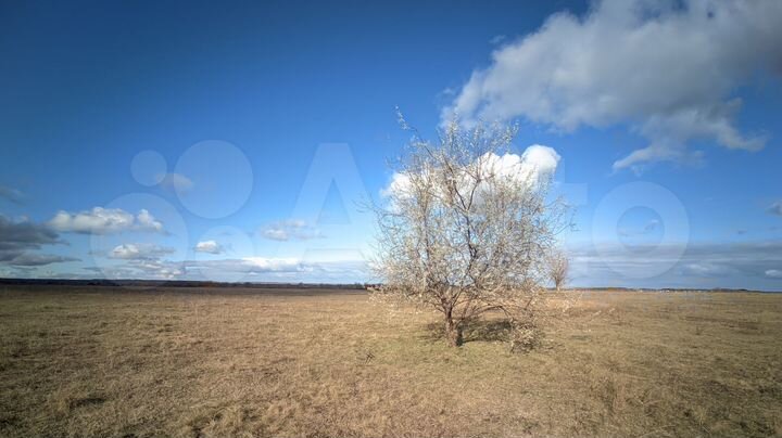 Участок 98,9 сот. (ИЖС)