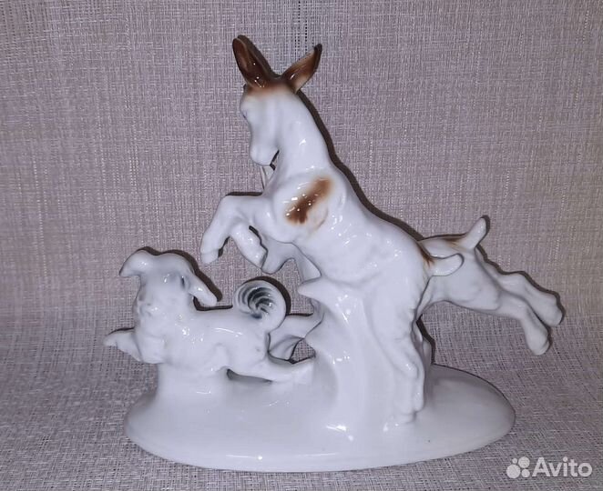 Германия. Козлята с собакой