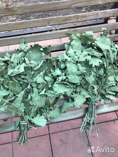 Веник дубовый