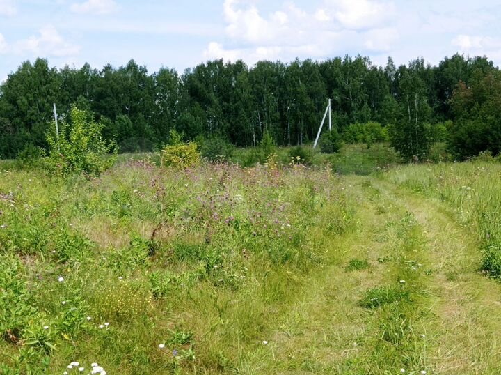 Участок 1,03 га (СНТ, ДНП)