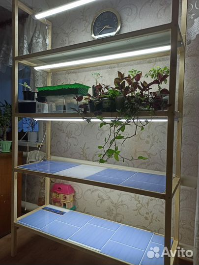 Полка для рассады