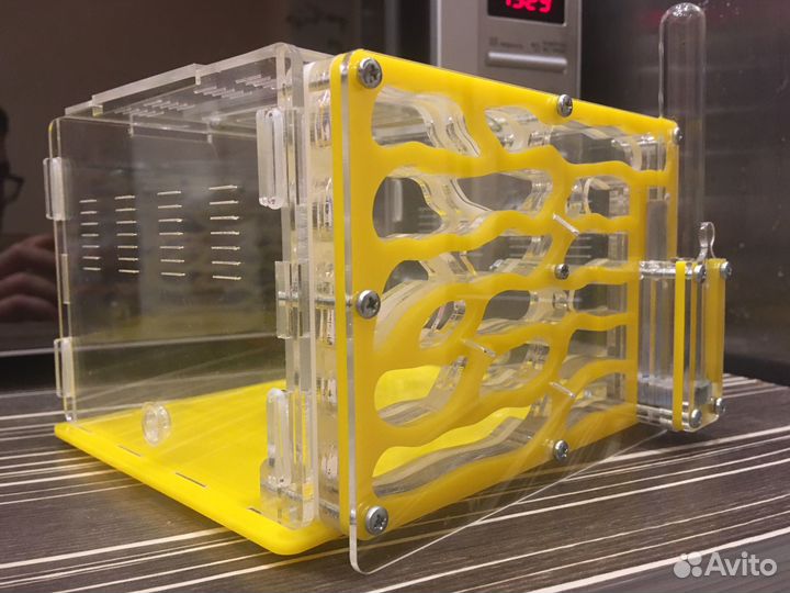 Муравьиная ферма