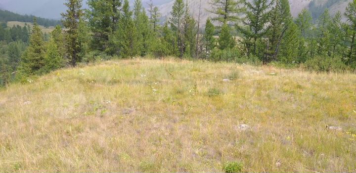 Участок 100 сот. (СНТ, ДНП)