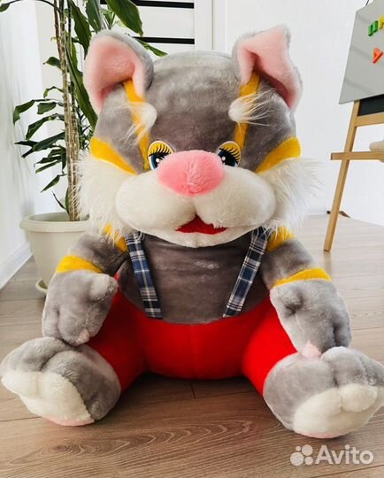 Кот-красавчик