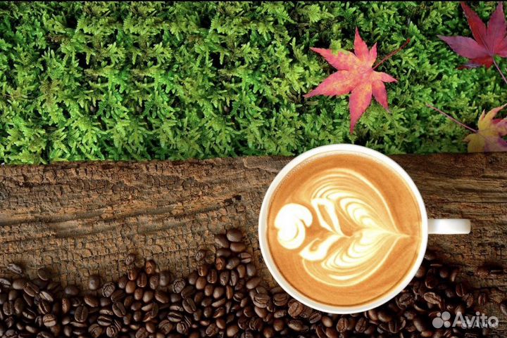 Продавец-кассир (Пашковка)