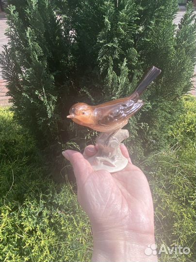 Птичка фарфор