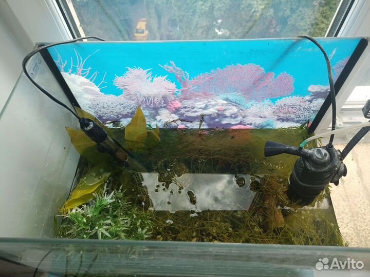 Аквариум 60л с обогревателем, светом и фильтром