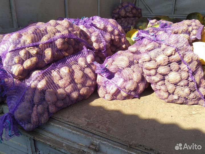 Картофель деревенский