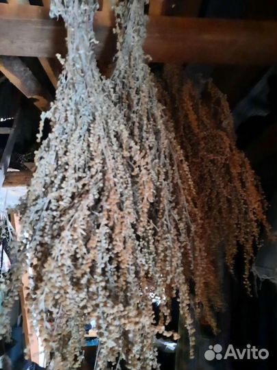 Полынь,Иван чай,пижма,зверобой