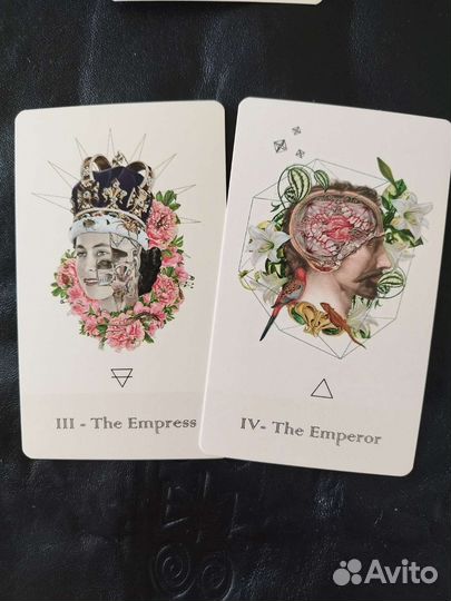 Anatomical Tarot Cards